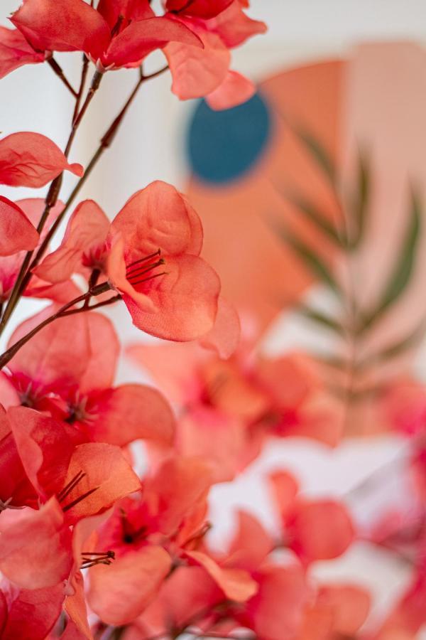 Vibrant City Abode - 2 Bed 2 Bath Apartment Christchurch Bagian luar foto